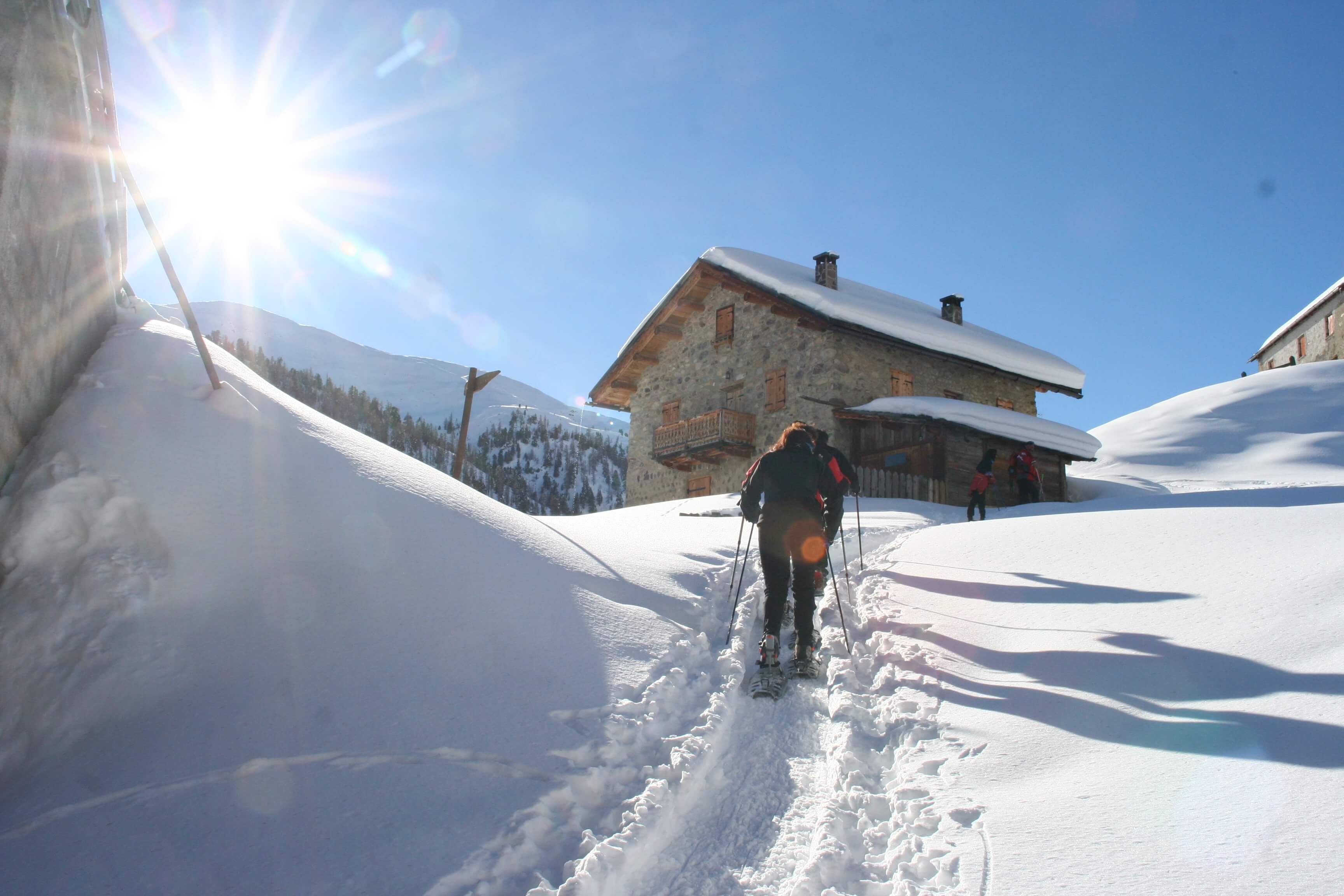 Passeggiata con le ciaspole sulla neve a Livigno